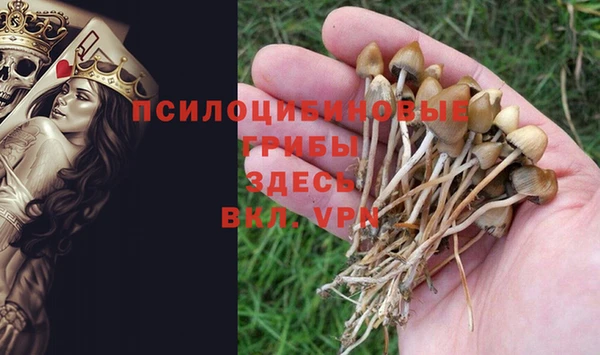 spice Белокуриха